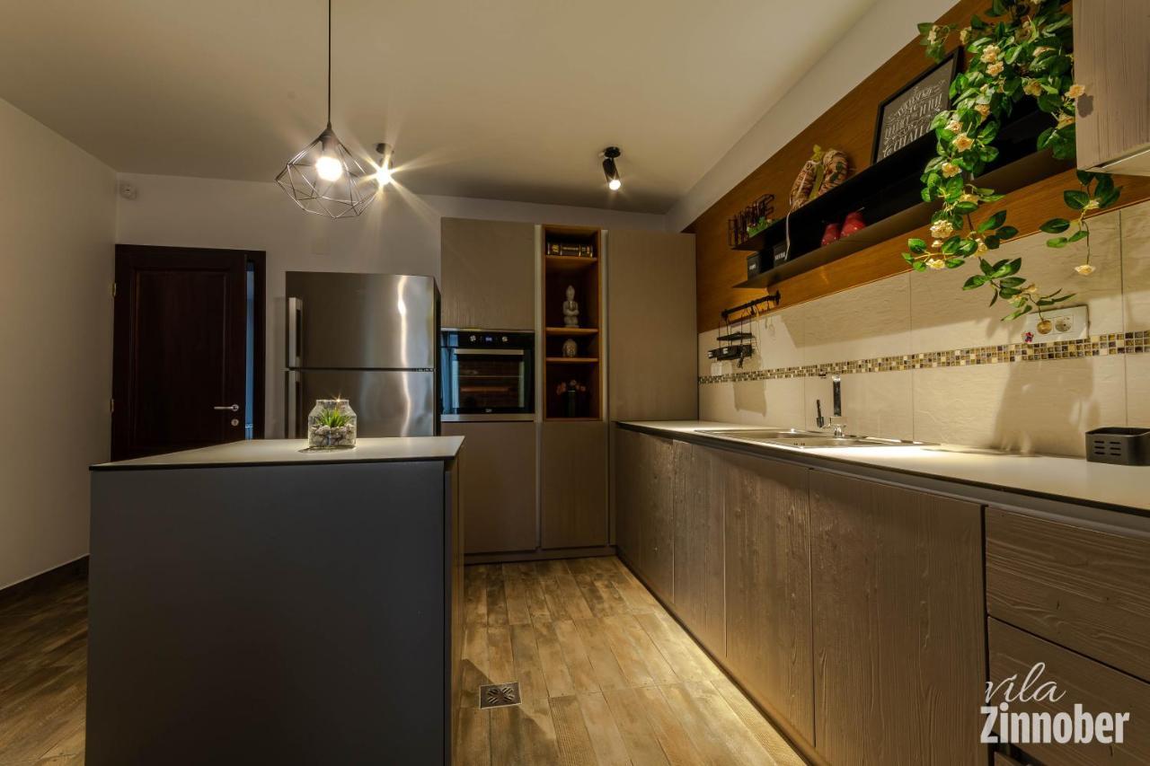 Vila Zinnober Brasov Bagian luar foto