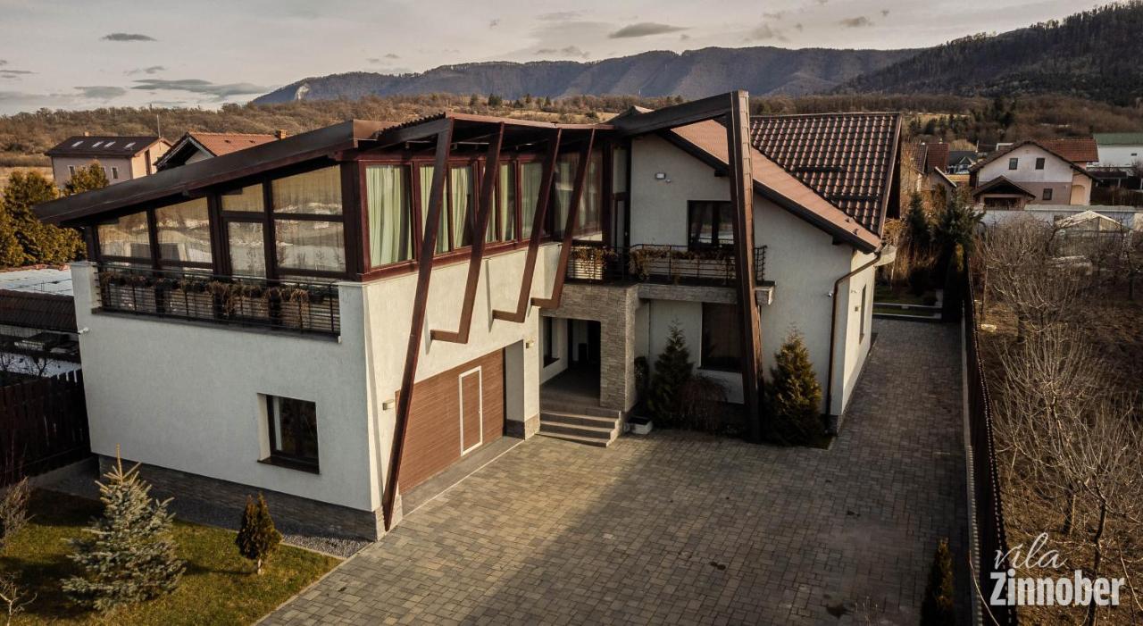 Vila Zinnober Brasov Bagian luar foto