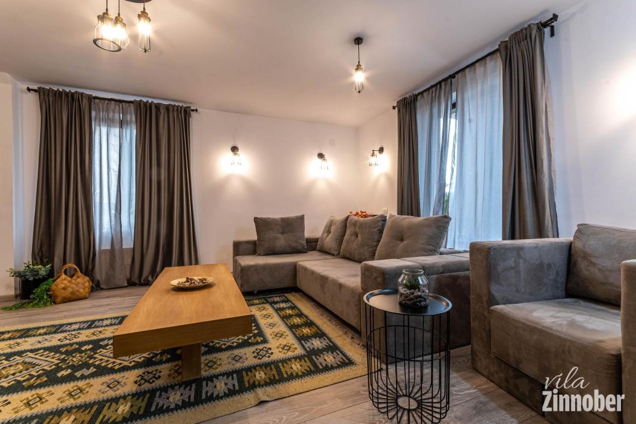 Vila Zinnober Brasov Bagian luar foto