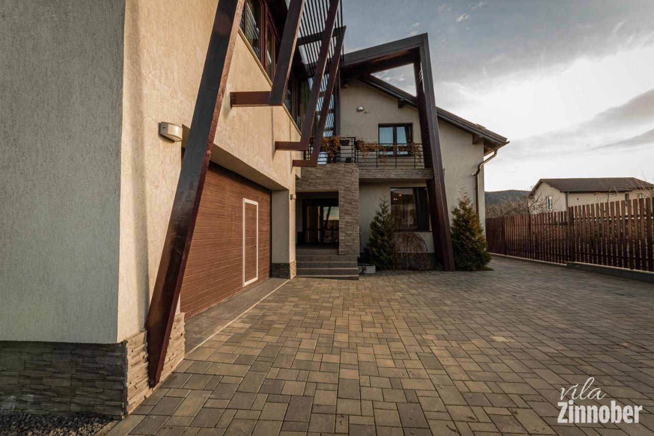 Vila Zinnober Brasov Bagian luar foto