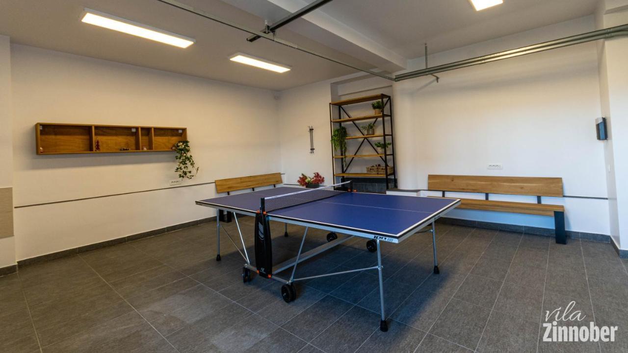 Vila Zinnober Brasov Bagian luar foto