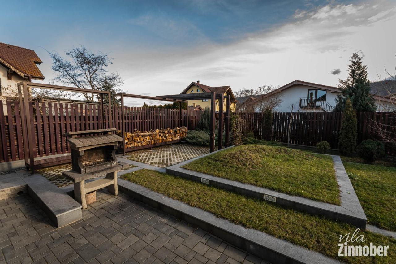 Vila Zinnober Brasov Bagian luar foto