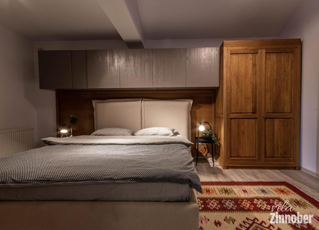 Vila Zinnober Brasov Bagian luar foto